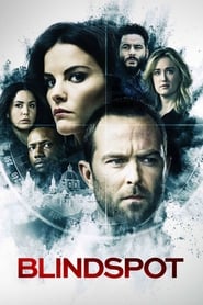 Blindspot (2015-)