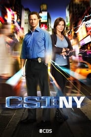 CSI: New York (2004-)
